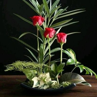 Profile Picture of Sami Daoud (@SamiDaoud17) on Twitter