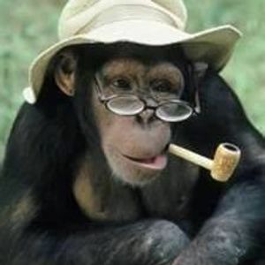 Profile Picture of Micah Bell (@micahscottbell) on Myspace