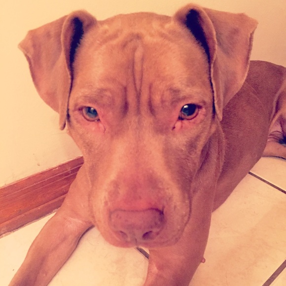 Profile Picture of Brittany Yearout (@brittanyrae02) on Poshmark