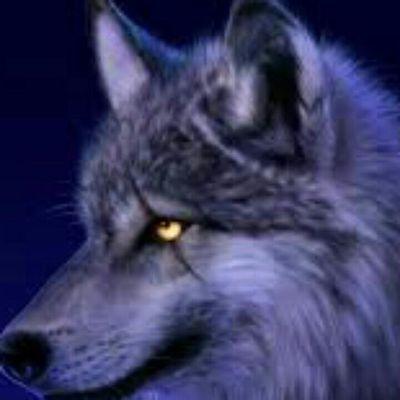 Profile Picture of Michael Ouimette (@metalhead66669) on Twitter