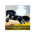 Profile Picture of Hernando Agudelo (@hernando3119) on Instagram