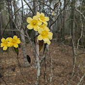 Profile Picture of Lora Evers (@loraevers9260) on Youtube