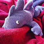 Profile Picture of Viktoria Pernack (@derharfenist) on Instagram