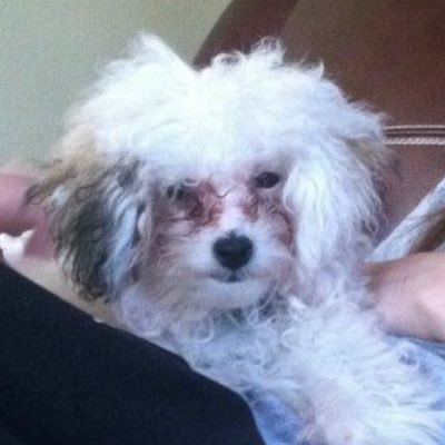 Profile Picture of Jackie Franks (@JackieFranks_) on Twitter