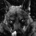 Profile Picture of Andrew Brockmeyer (@andrew.brockmeyer.71) on Facebook