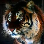 Profile Picture of Brad Whereeverimayroam Bakken (@bradbakken) on Instagram