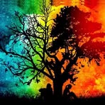 Profile Picture of Robin Otto (@Robin-Otto) on Facebook