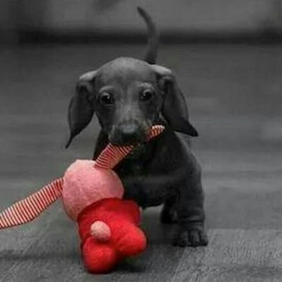 Kayla Doty - Twitter Profile Picture of Kayla Doty (@dotyk4747) on Twitter