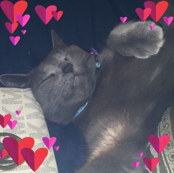 Profile Picture of Robert Booth (@bsabob63) on Poshmark