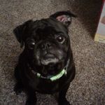 Profile Picture of Stacy Elmore (@elmorestacy) on Instagram