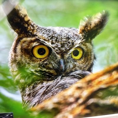 Profile Picture of Carson Darnell (@CarsonDarnell2) on Twitter