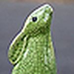 Profile Picture of Chris Jackson (@crazygreenrabbit31) on Flickr