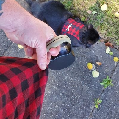 Profile Picture of John Murphy (@JM_Murf) on Twitter