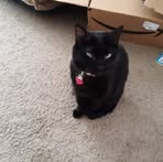 Profile Picture of John Stetzel (@john.stetzel) on Facebook