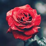 Profile Picture of Chris haggerty (@__im_dead_in_side__) on Instagram