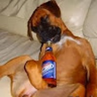 Profile Picture of Peter Barratt (@peter-barratt-24) on Quora