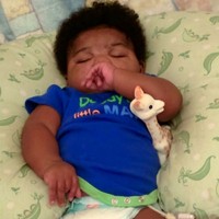 Profile Picture of Jermel Howard (@jermel-howard) on Quora