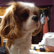 Profile Picture of Andrew Grange (@andrewgrange89) on Youtube