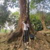 Profile Picture of Luizzz (@alvinpanter) on Tiktok