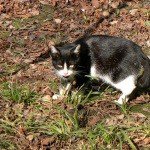 Profile Picture of Jason (@jasonhighet930) on Instagram