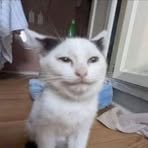 Profile Picture of Johnny Jeffrey (@Johnny-Jeffrey) on Facebook