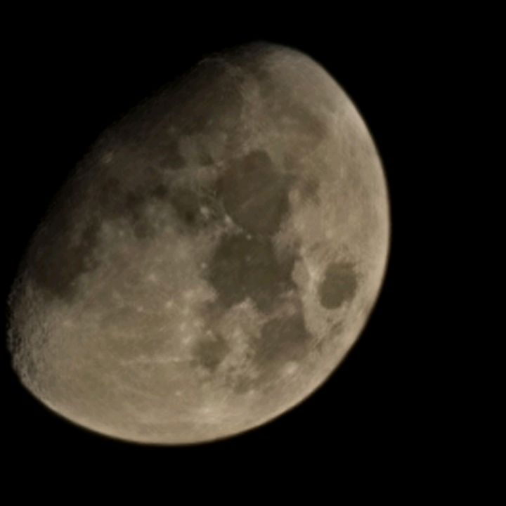 Profile Picture of Darryl Park596 (@darrylpark1) on Tiktok