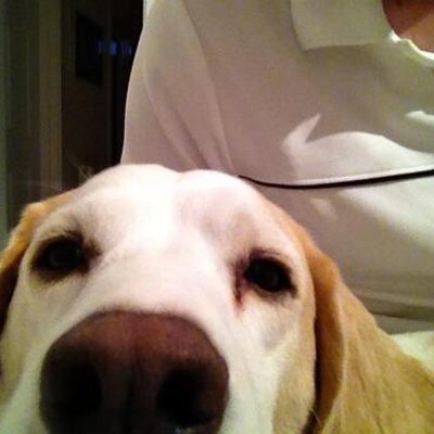 Ben Spencer - Twitter Profile Picture of Ben Spencer (@Redimp42) on Twitter