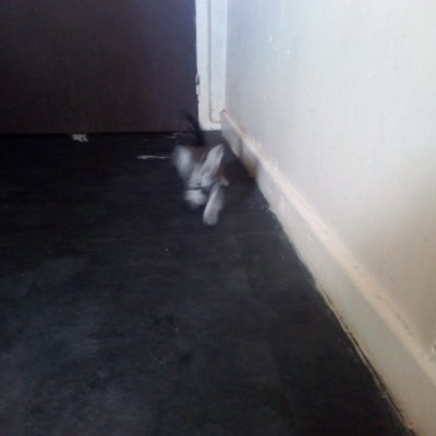 Profile Picture of Armand Roland (@armandRoland4) on Twitter