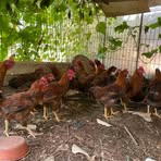 Profile Picture of Van Kim (@Van-Kim) on Facebook