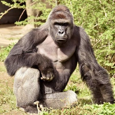 Profile Picture of Tony Ginn (@tonyginn32) on Twitter