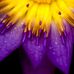 Profile Picture of Tracie Sutton (@tracie.sutton.39501) on Facebook