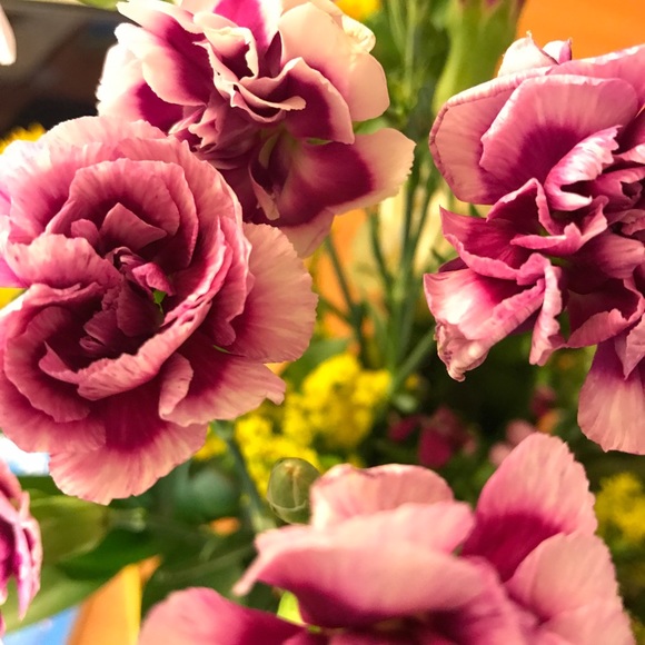 Profile Picture of Becca Isip (@beccaxisip) on Poshmark