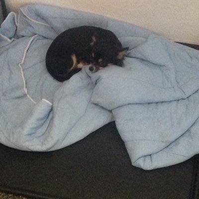 Profile Picture of Tom Boon (@Tomboon11) on Twitter