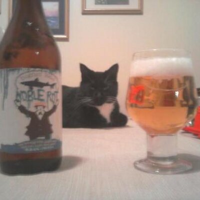 Profile Picture of Christopher Aiello (@732BREW) on Twitter