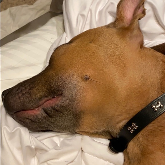 Profile Picture of Gavin Pugh (@pughgavin6) on Poshmark