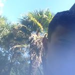Profile Picture of Jacob howarth (@xjacob_howarthx) on Instagram
