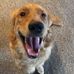 Profile Picture of Andrew Mosier (@andrew.mosier.5855) on Facebook