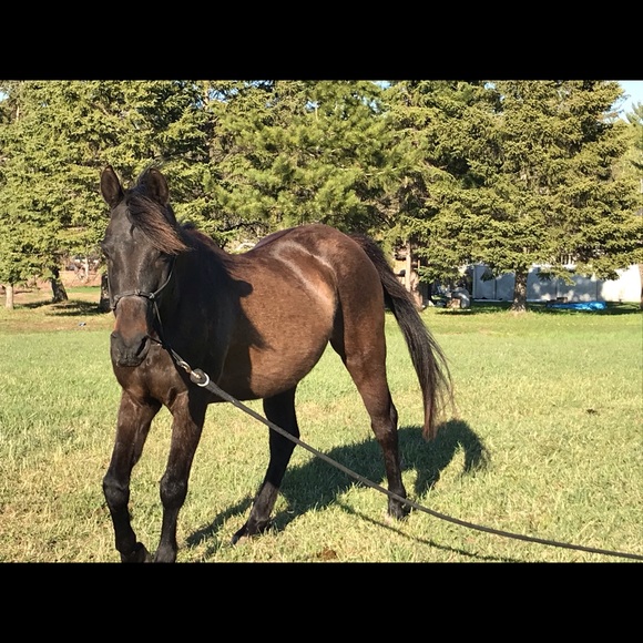 Natalie Staricha - Poshmark Profile Picture of Natalie Staricha (@nataliestaricha) on Poshmark