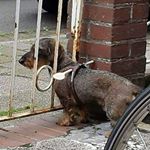 Profile Picture of helmut schulz (@helmutschulzsi) on Instagram