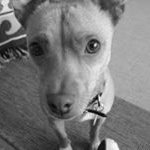 Profile Picture of Aldous Spark (@mirianipeter) on Instagram