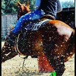 Profile Picture of Cheryl Collins (@barrelracer2009) on Instagram