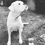 Profile Picture of Clare Vick (@claregizmo) on Instagram