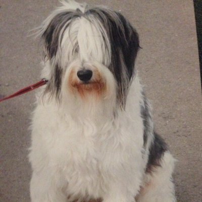 Profile Picture of JoanneFlack (@JoanneFlack3) on Twitter