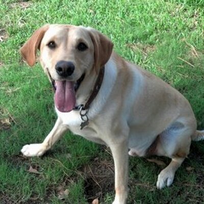 Profile Picture of John P. Lopez (@LopezOnSports) on Twitter