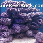Profile Picture of West Mariculture (@westmariculture) on Instagram