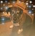 Profile Picture of Cindy Applegate (@cindy.applegate.353) on Facebook