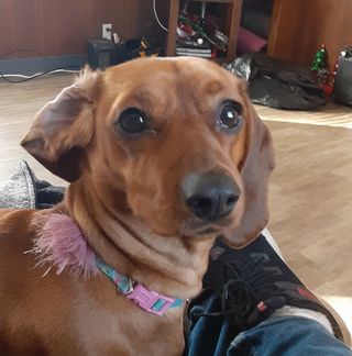 Profile Picture of Carlos Farber (@carlos.farber.35) on Facebook