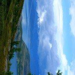 Profile Picture of Barondess (@phyllisbarondess) on Instagram