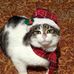 Profile Picture of Marylee Greene (@marylee.greene.39) on Facebook