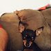 Profile Picture of Ralph Ramos (@ramosralph26) on Pinterest